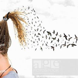 In a surreal sky, swallows come out from the braids of a girl who covers her face in front of many clouds.