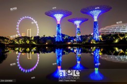 Gardens by the Bay reflecting in the water at night, Singapore, Asia.