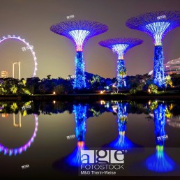 Gardens by the Bay reflecting in the water at night, Singapore, Asia.
