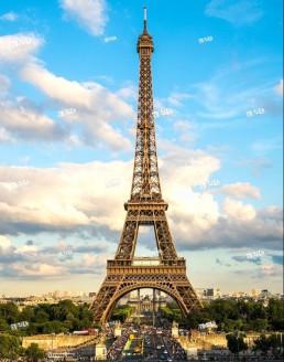 view of Eiffel Tower in Paris. La Tour Eiffel, France.