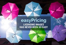 easyPricing. Licensing images has never been so easy