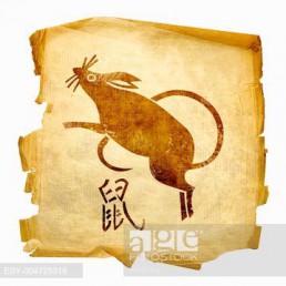 Rat Zodiac icon, isolated on white background.